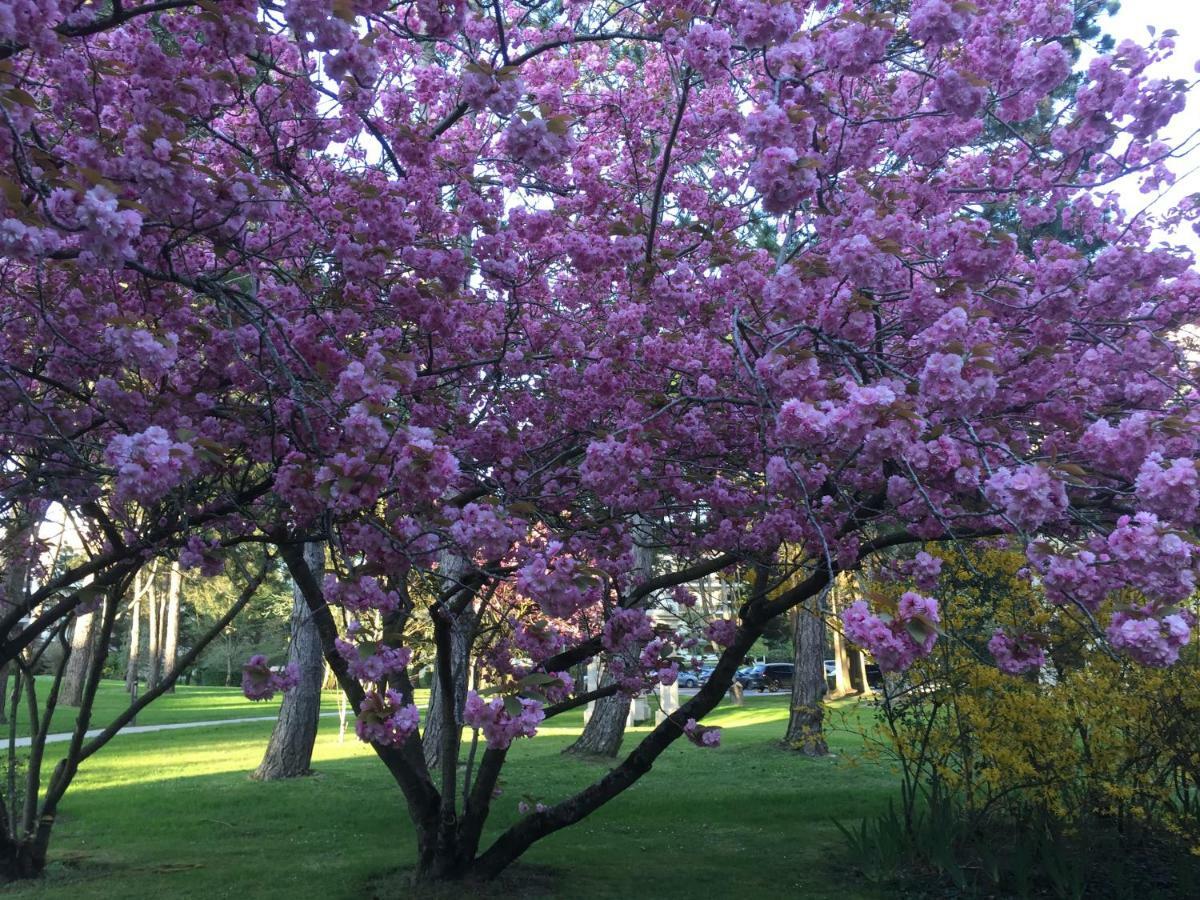 דירות Le Touquet Le Parc De L'Hermitage מראה חיצוני תמונה