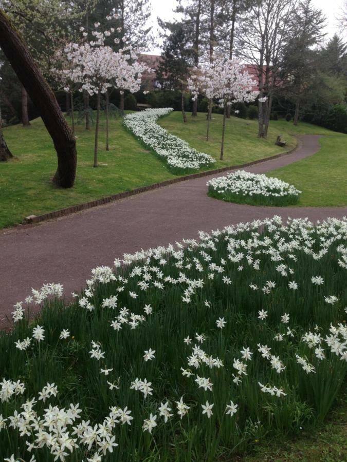 Le Touquet Le Parc De L'Hermitage מראה חיצוני תמונה